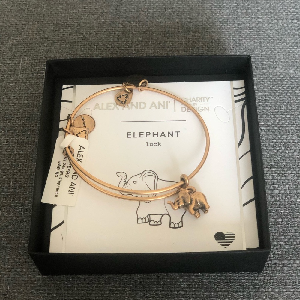 Alex and ani bracelet